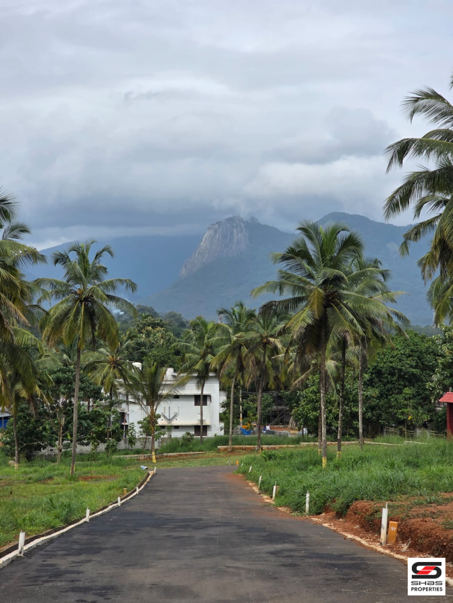 Premium plots for sale in Mannarkkad, Palakkad