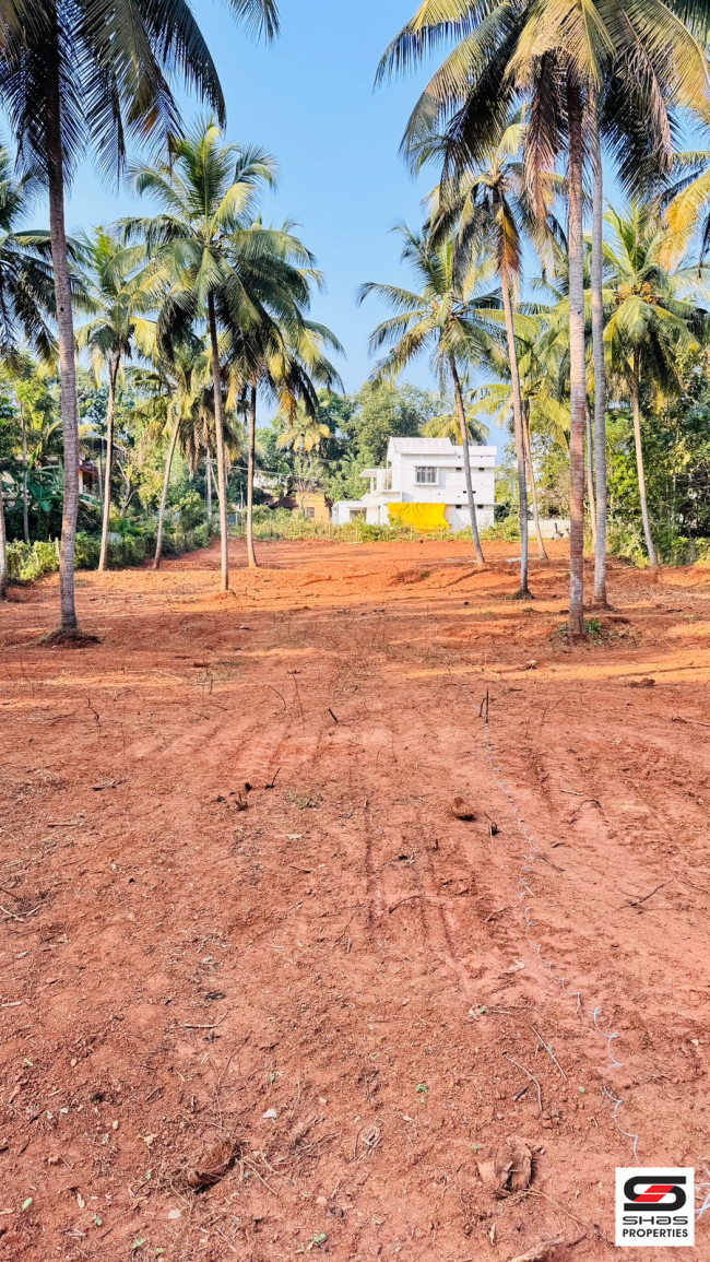 Plots for sale in Ottapalam, Palakkad