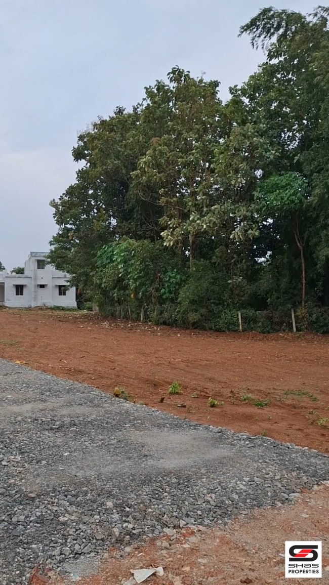 Residential plots for sale near Kottekad, Palakkad