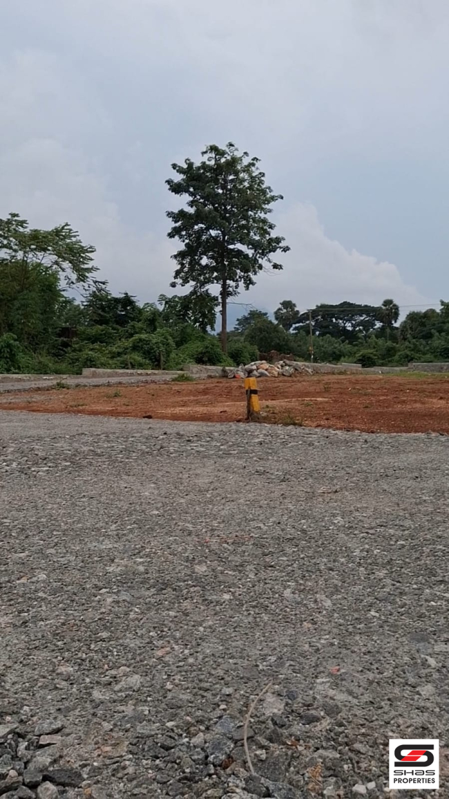 Residential plots for sale near Kottekad, Palakkad