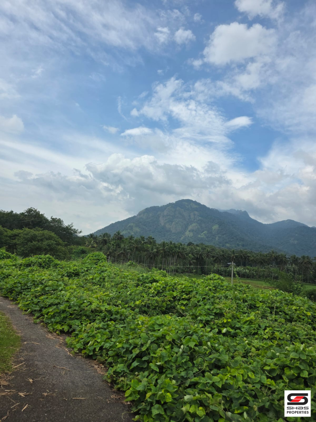 House plots for sale near Dhoni, Palakkad