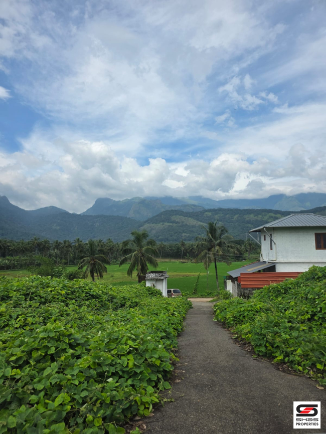 House plots for sale near Dhoni, Palakkad