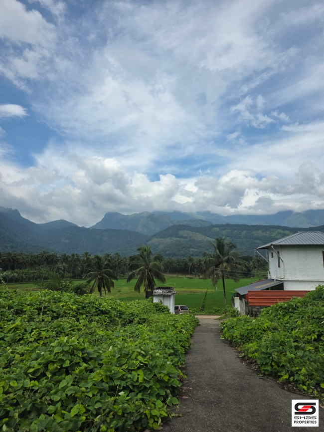 House plots for sale near Dhoni, Palakkad