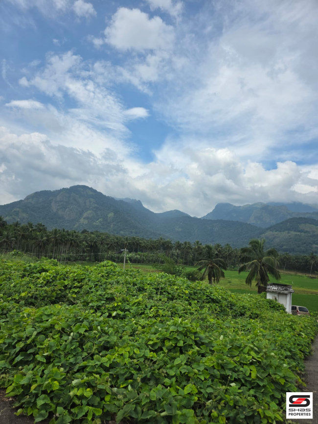 House plots for sale near Dhoni, Palakkad