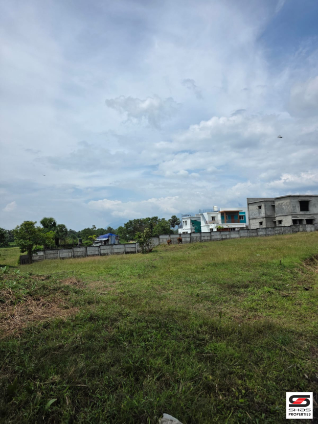 Residential plot for sale in Kuppiyode, Palakkad