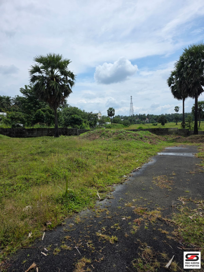 Residential plot for sale in Kuppiyode, Palakkad