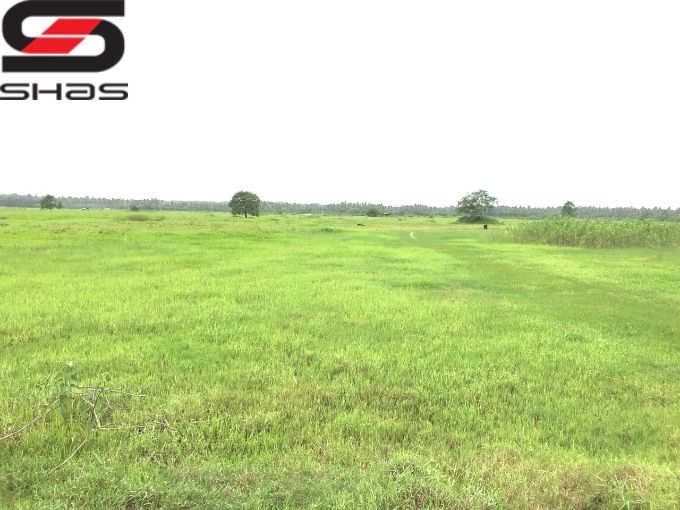 20 acre land for sale in Thrissur, Nandikkara