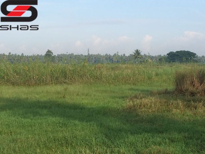 20 acre land for sale in Thrissur, Nandikkara