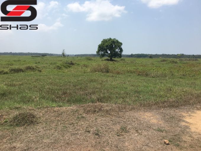 20 acre land for sale in Thrissur, Nandikkara