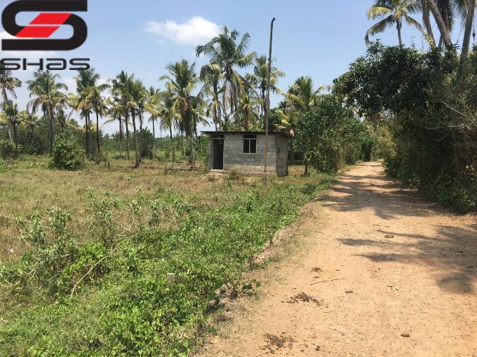 20 acre land for sale in Thrissur, Nandikkara