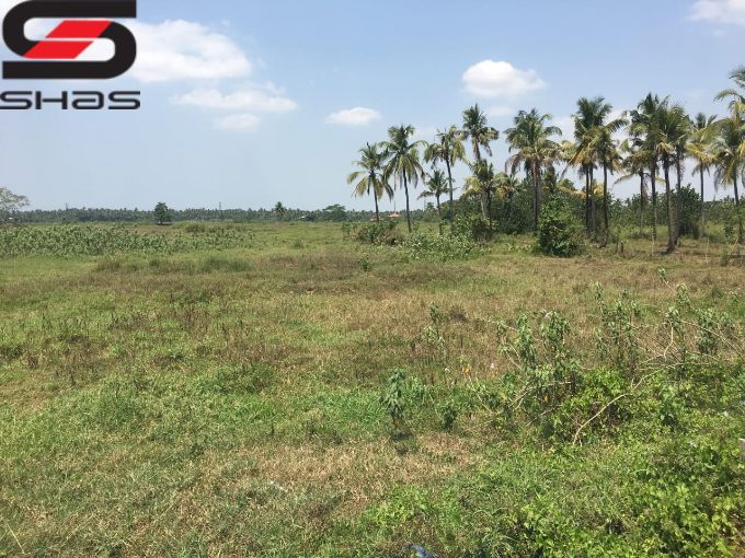 20 acre land for sale in Thrissur, Nandikkara