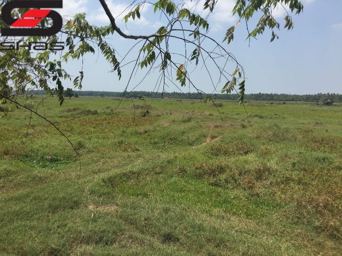 20 acre land for sale in Thrissur, Nandikkara