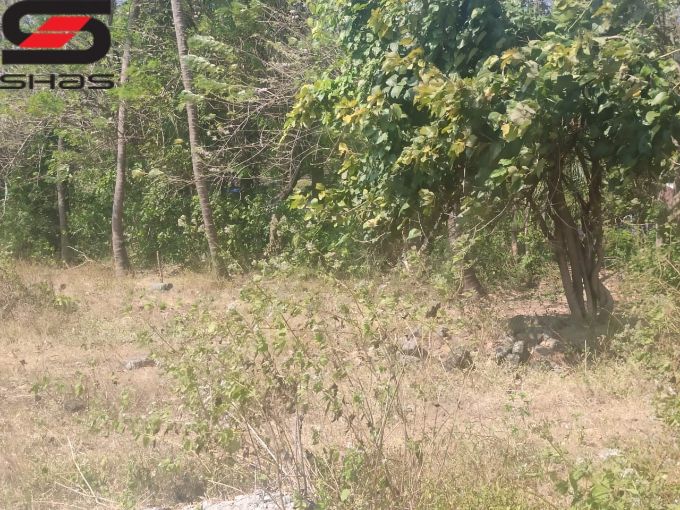House plot for sale, Shas Palakkad Properties