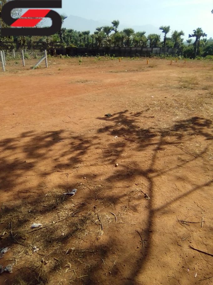 1.5 acre parambu for sale in Palakkad, Realtors