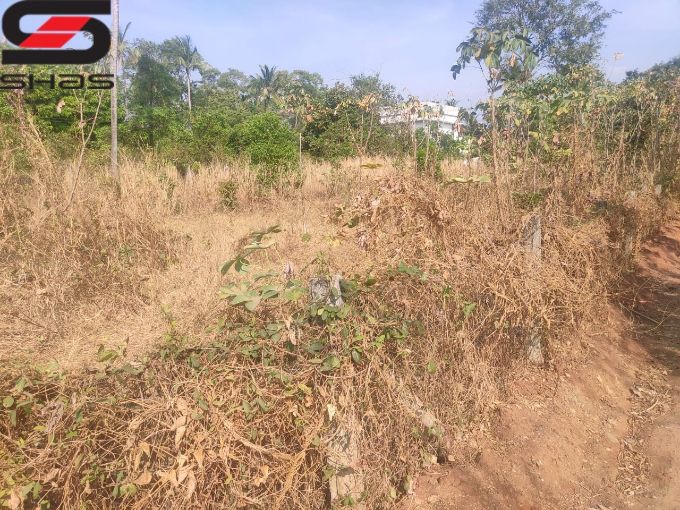 House plot for sale in Chandranagar, Palakkad Real Estate Properties