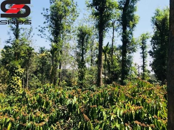 Agricultural land with houses for sale in Nilgiris, Ooty