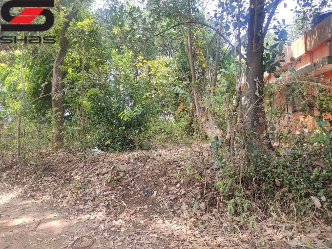 35 cent residential plot for sale in Palakkad, Kerala