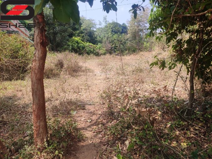 35 cent residential plot for sale in Palakkad, Kerala