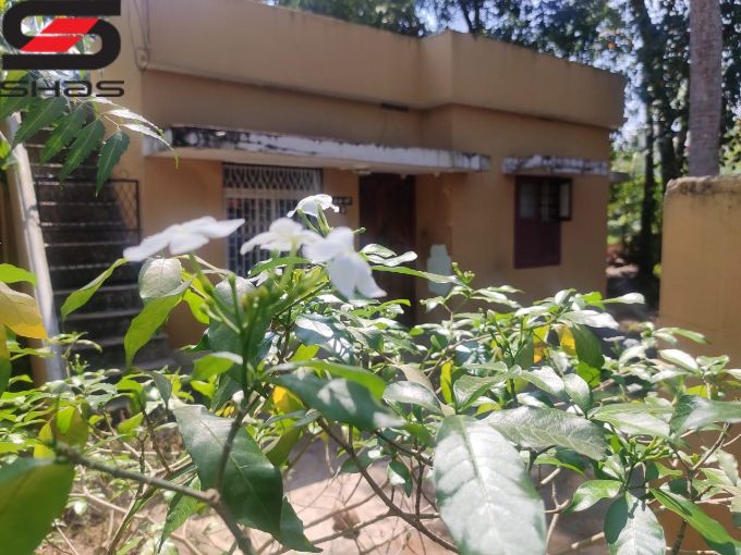 15 cent plot and old house for sale in Vidyut Nagar, Palakkad