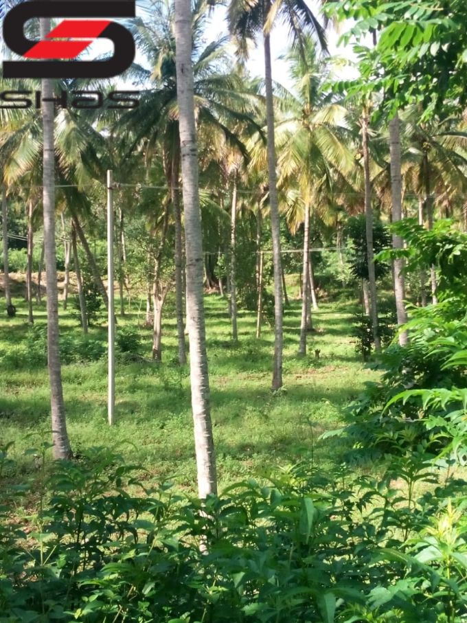 Land with farm house for sale in Srirangapatna, Mysore, Karnataka