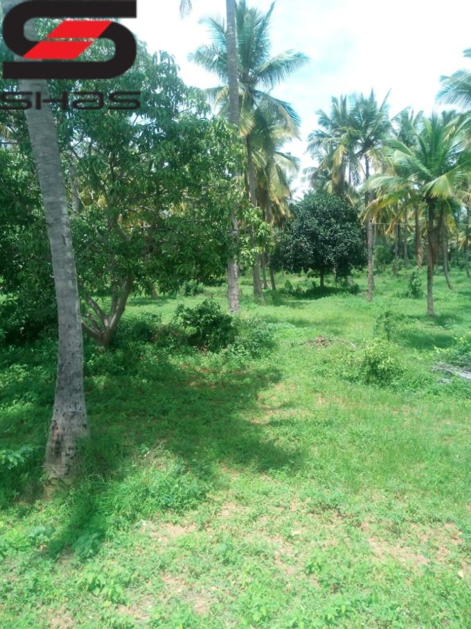 Land with farm house for sale in Srirangapatna, Mysore, Karnataka
