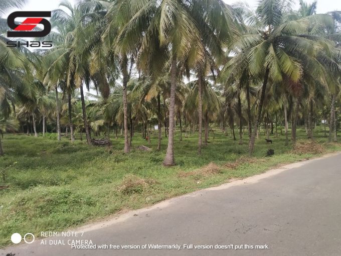 Agricultural land and farm house for sale in Palakkad, Kerala