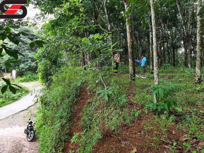 Rubber estate or plantation for sale in Ayoor, Kollam