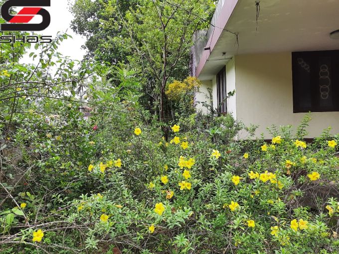 3 BHK house for sale in Kottarakkara, Kollam