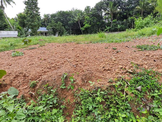 Plot for sale in Kottarakkara, Kollam Real Estate