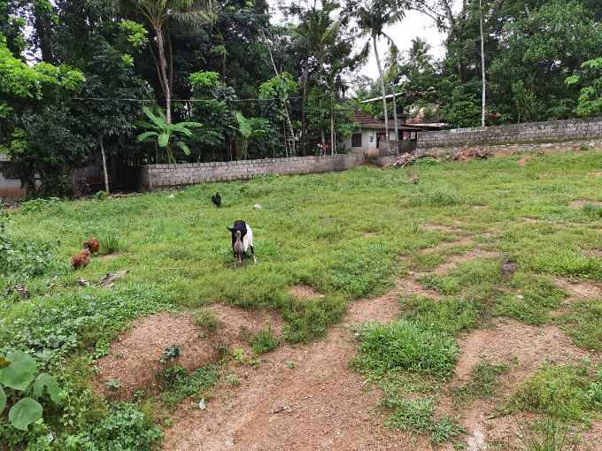 Plot for sale in Kottarakkara, Kollam Real Estate