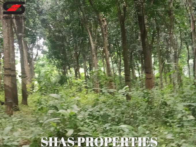 small-properties