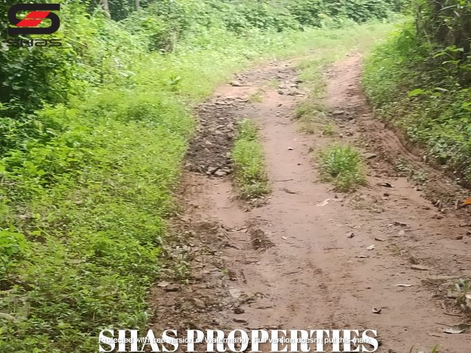 Mixed farmland for sale near Kongad, Palakkad