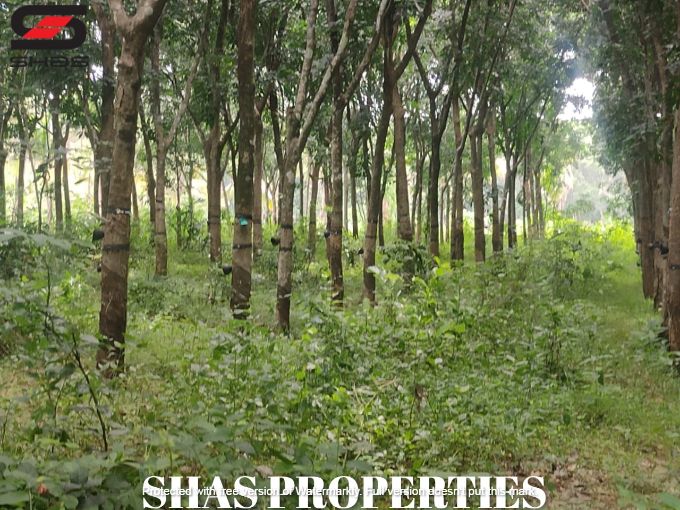 Mixed farmland for sale near Kongad, Palakkad