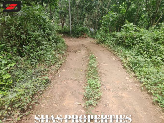 Mixed farmland for sale near Kongad, Palakkad