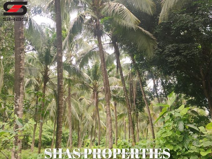 Mixed farmland for sale near Kongad, Palakkad