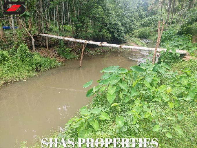 Mixed farmland for sale near Kongad, Palakkad