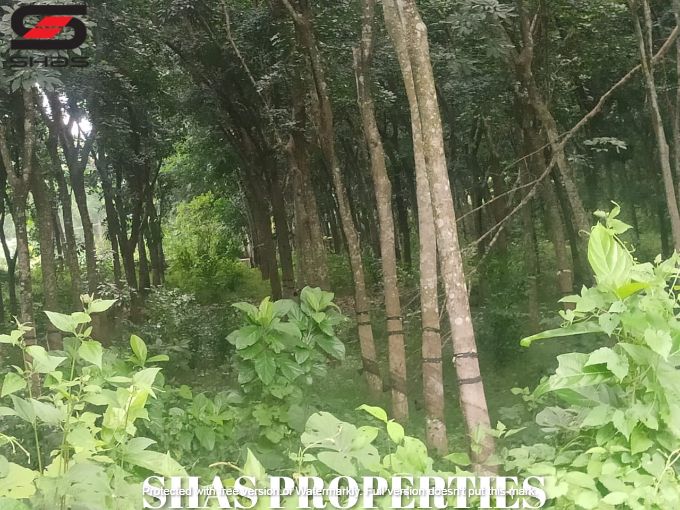 Mixed farmland for sale near Kongad, Palakkad