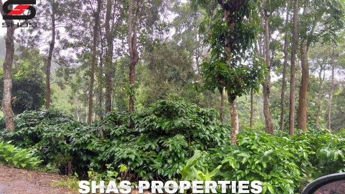 Farmland in Kenichira for sale, Wayanad Properties