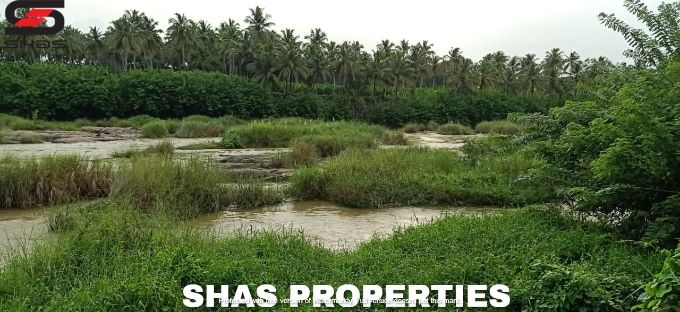 Farmland for sale in Alathur, Palakkad