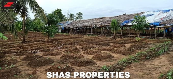 Farmland for sale in Alathur, Palakkad