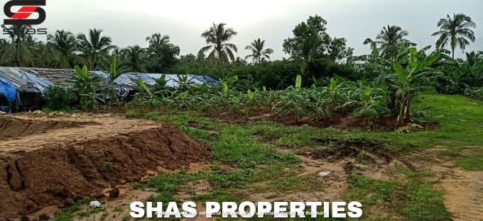 Farmland for sale in Alathur, Palakkad