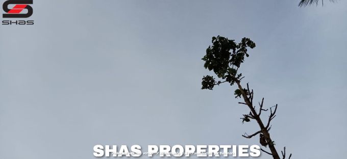 Farmland for sale in Alathur, Palakkad