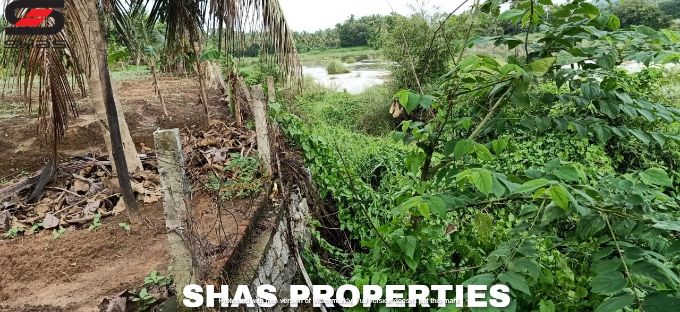 Farmland for sale in Alathur, Palakkad