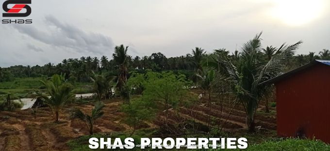 Farmland for sale in Alathur, Palakkad