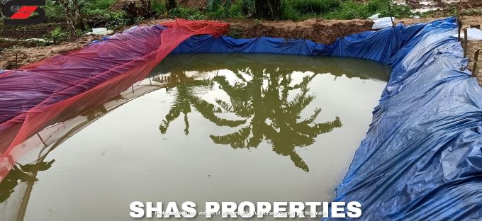 Farmland for sale in Alathur, Palakkad