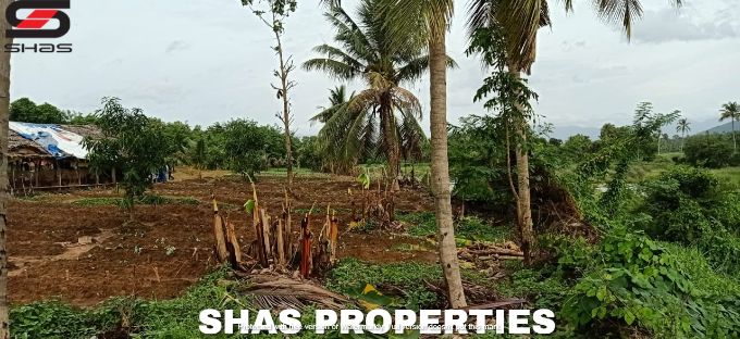 Farmland for sale in Alathur, Palakkad