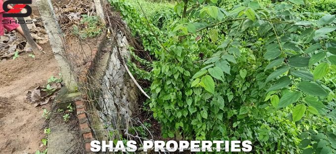 Farmland for sale in Alathur, Palakkad