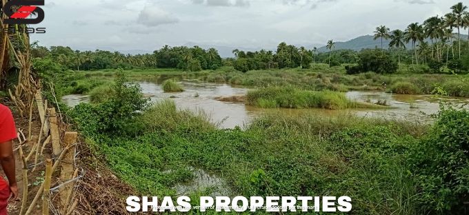 Farmland for sale in Alathur, Palakkad
