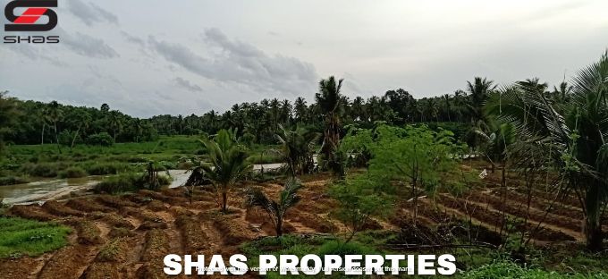 Farmland for sale in Alathur, Palakkad