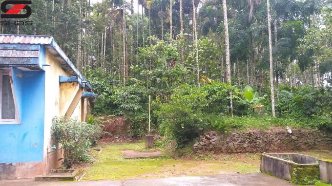 Land and house in Meenangadi, Wayanad Properties for sale